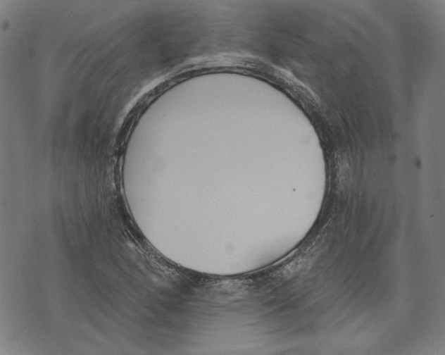 X0000076221166200610191525