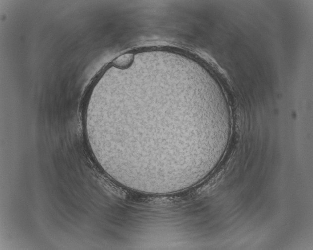 X0000076221167200610191525