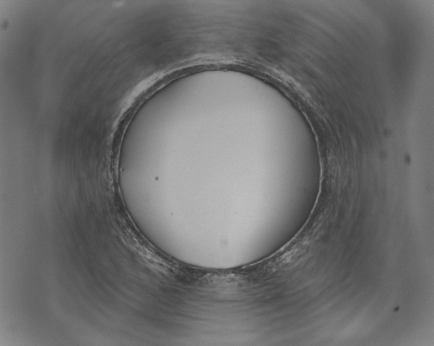 X0000076221168200610191525