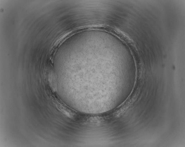 X0000076221169200610191525