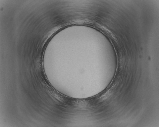 X0000076221170200610191525