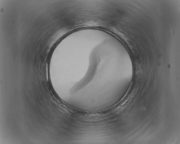 X0000076221171200610191525