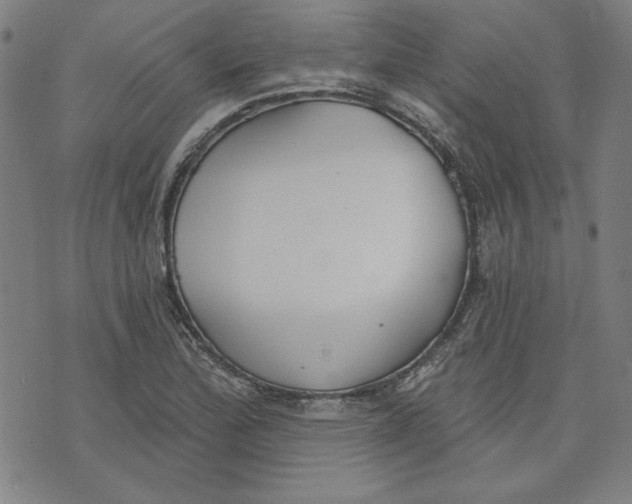 X0000076221172200610191525