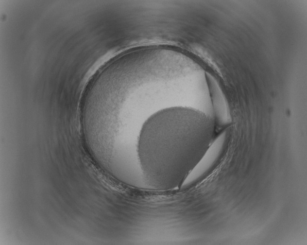 X0000076221173200610191525