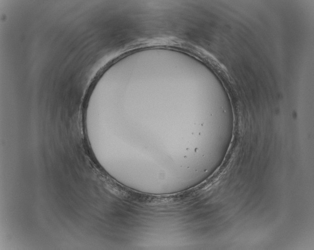 X0000076221174200610191525