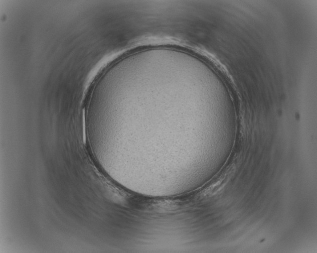 X0000076221175200610191525