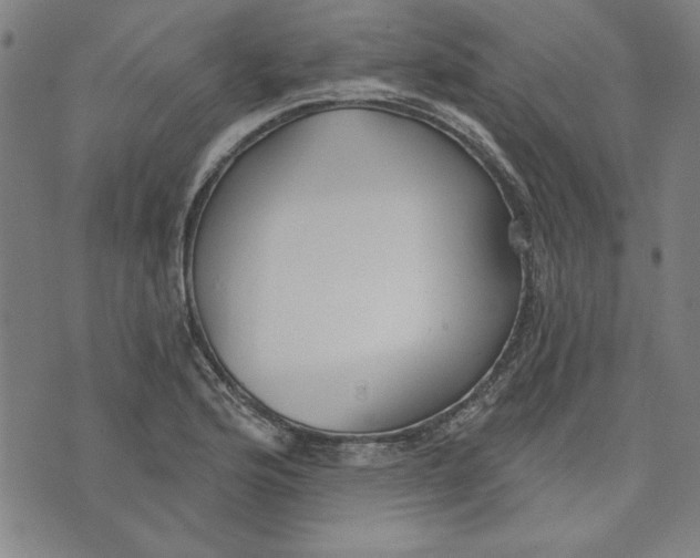 X0000076221176200610191525