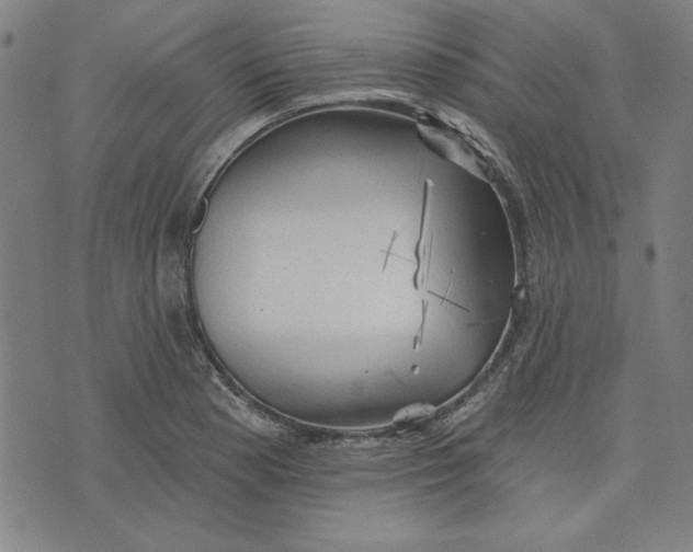 X0000076221177200610191525