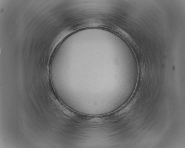 X0000076221178200610191525