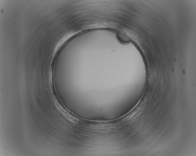 X0000076221179200610191525