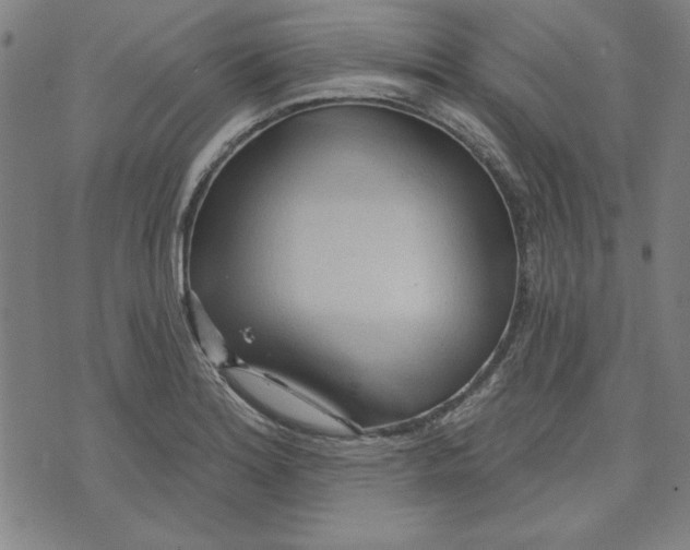 X0000076221180200610191525