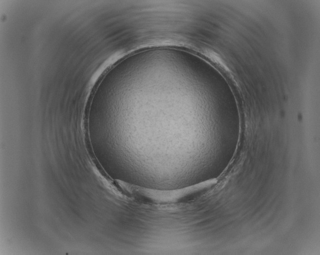 X0000076221181200610191525