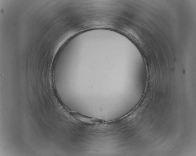 X0000076221182200610191525