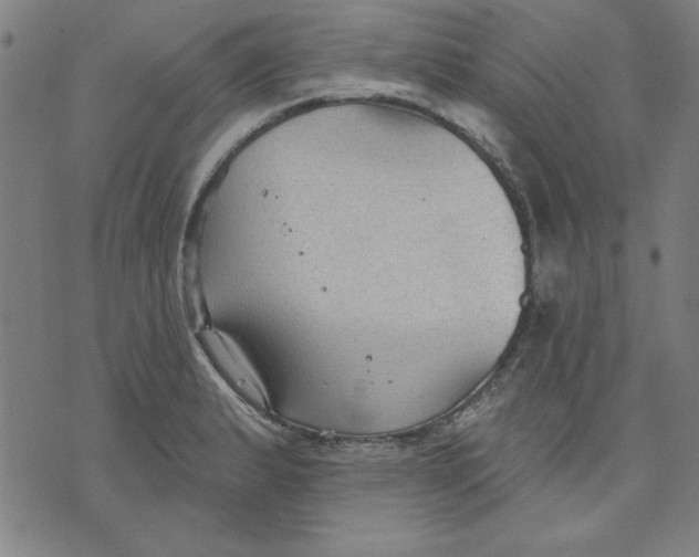 X0000076221183200610191525