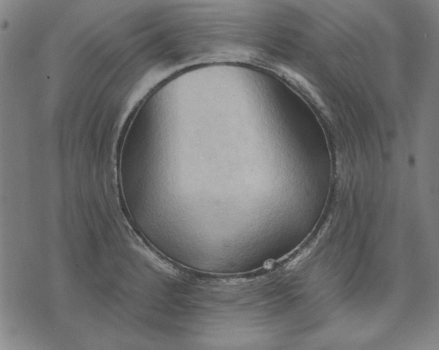 X0000076221184200610191525