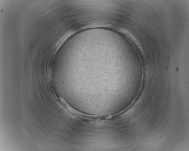 X0000076221185200610191525