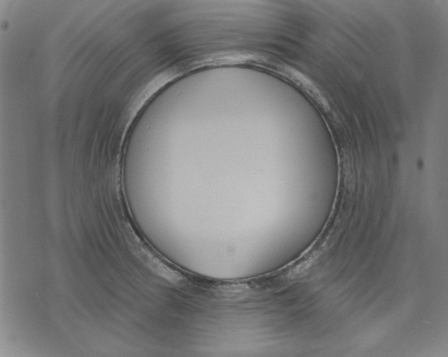 X0000076221186200610191525