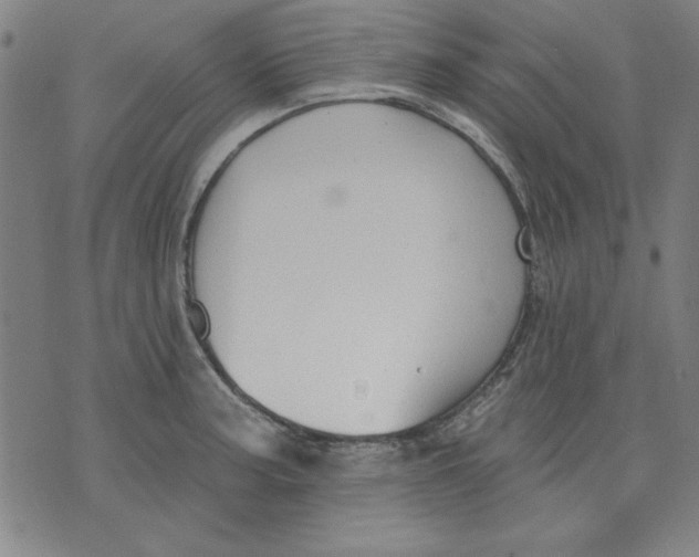 X0000076221187200610191525