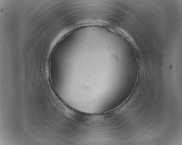 X0000076221188200610191525