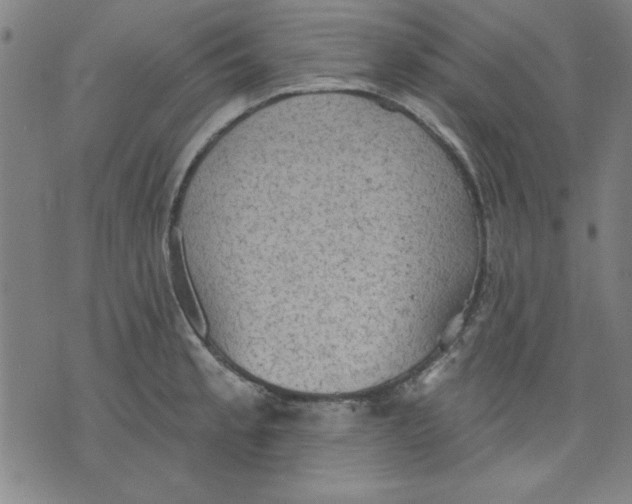 X0000076221189200610191525