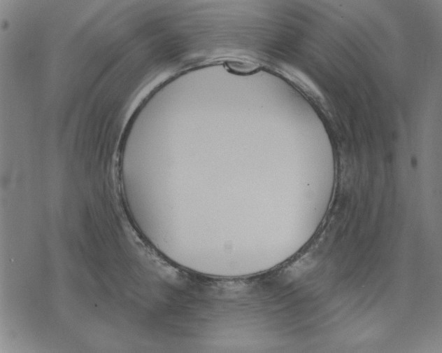 X0000076221190200610191525