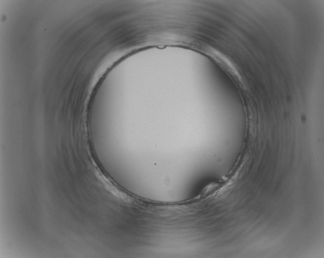 X0000076221192200610191525