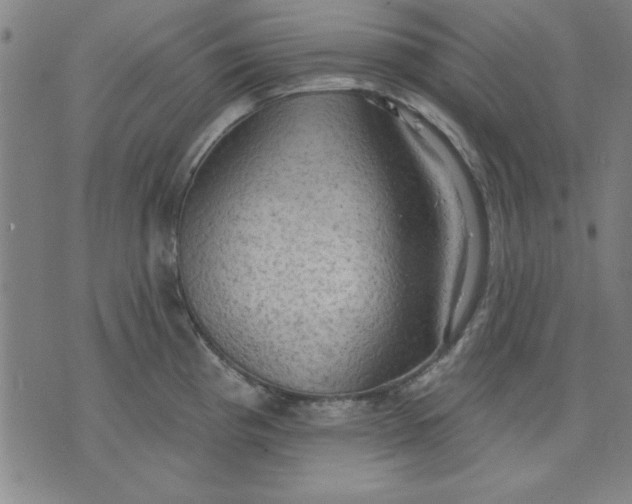 X0000076221193200610191525