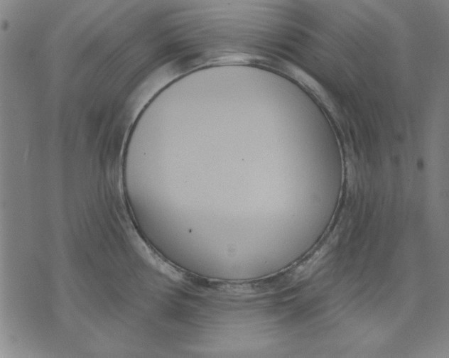 X0000076221194200610191525