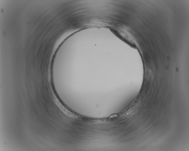 X0000076221195200610191525