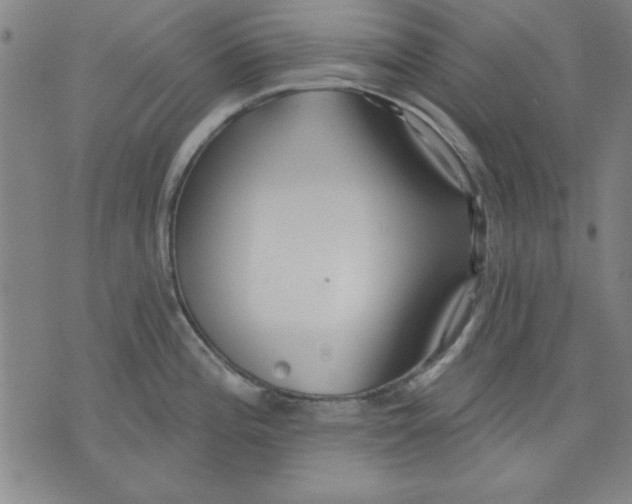 X0000076221196200610191525