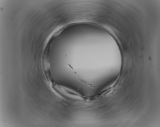 X0000076221197200610191525