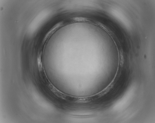 X0000076221198200610191525