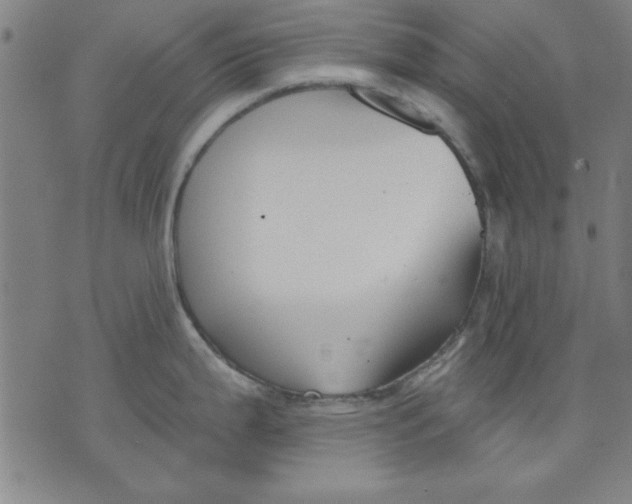 X0000076221199200610191525