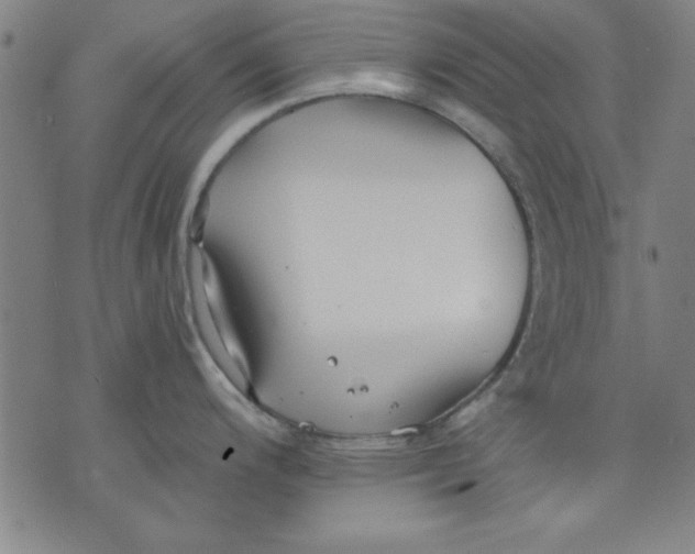 X0000076221200200610191525