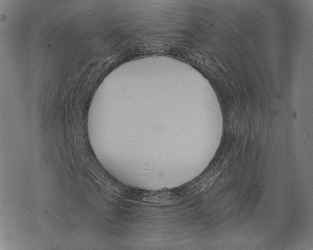 X0000076221201200610191524