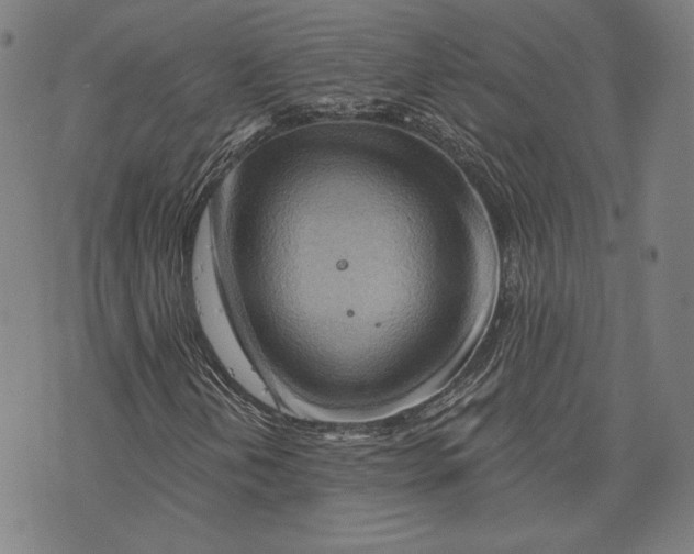 X0000076221202200610191524