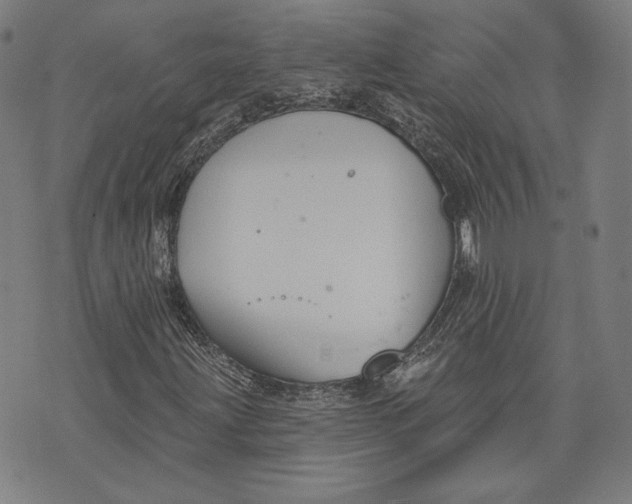 X0000076221203200610191524