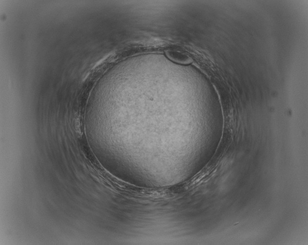 X0000076221205200610191524