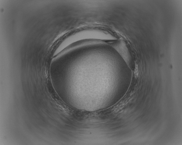 X0000076221206200610191524