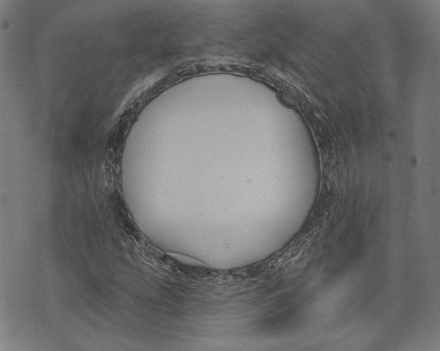 X0000076221207200610191524