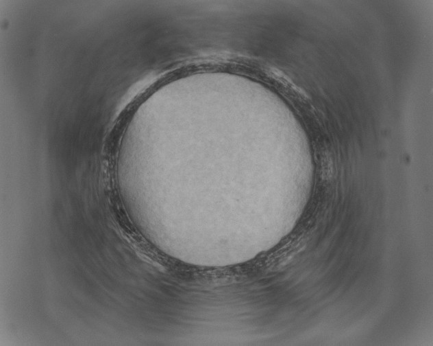 X0000076221208200610191524