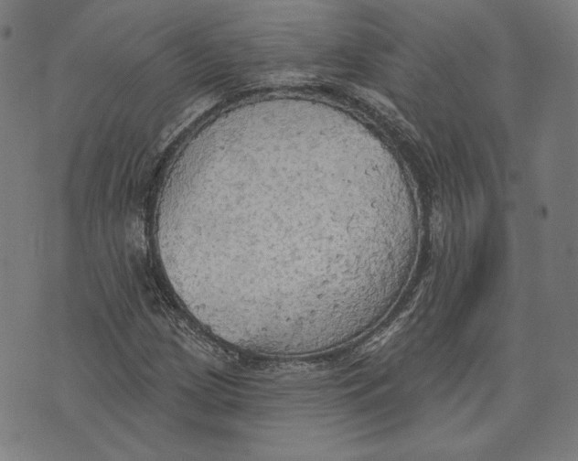 X0000076221209200610191524