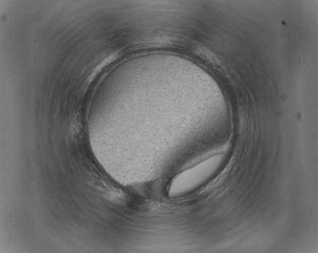 X0000076221210200610191524