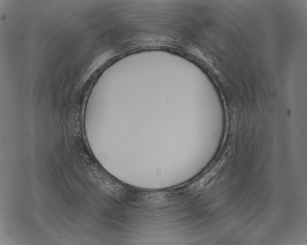 X0000076221211200610191524