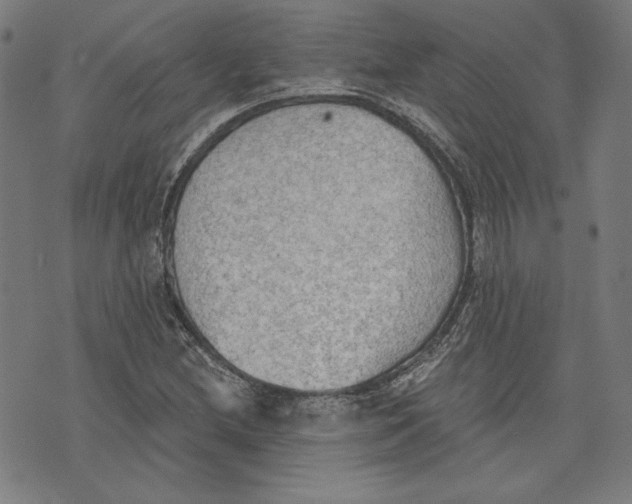 X0000076221212200610191524