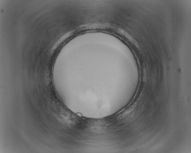 X0000076221213200610191524