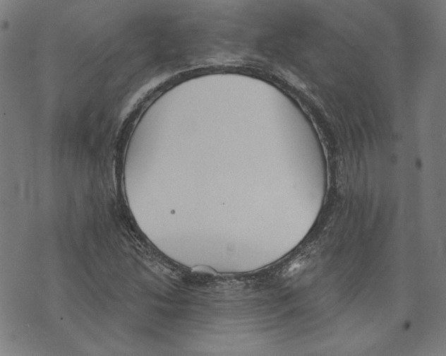 X0000076221214200610191524