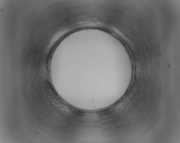 X0000076221215200610191524