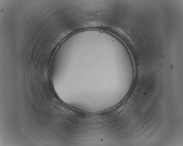 X0000076221217200610191524