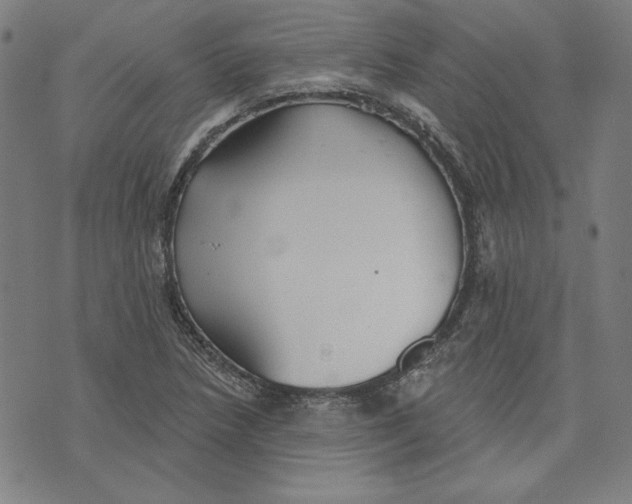 X0000076221218200610191524